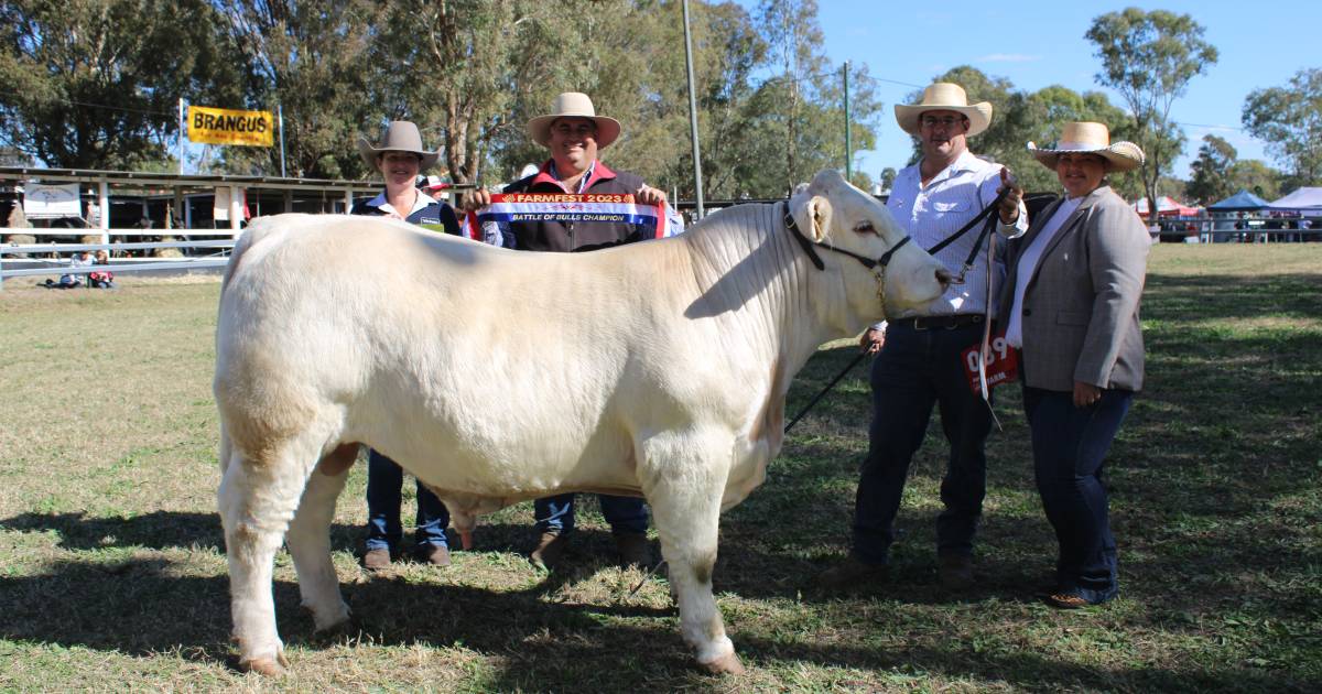 Scooter wins the Farmfest "Battle of the Bulls"