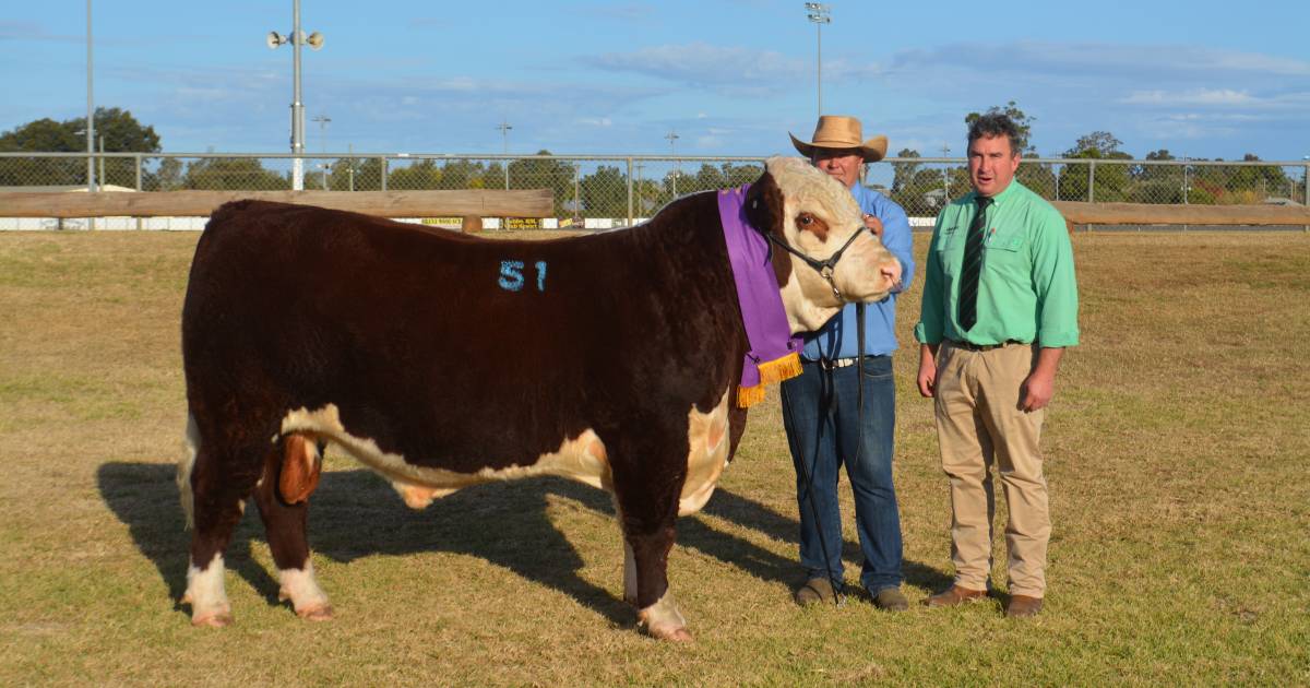 Dubbo National Hereford sale reaches $30,000 but clearance dips