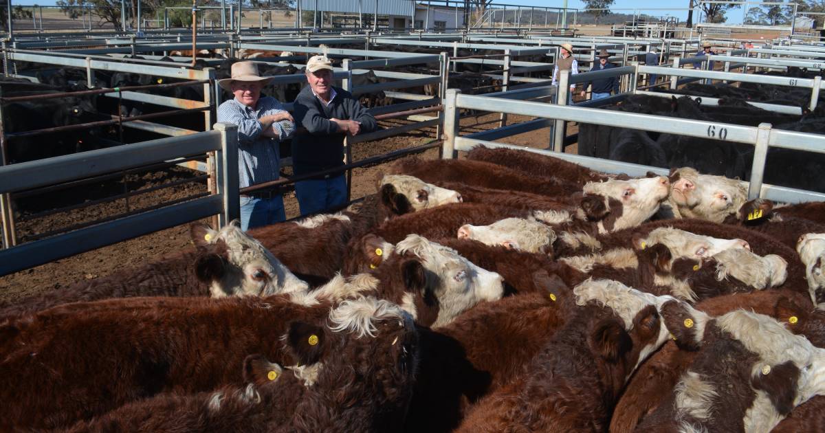 Ball in buyer's court at Dunedoo store sale