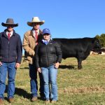 Northern Beef Week has finished for another year | The Land