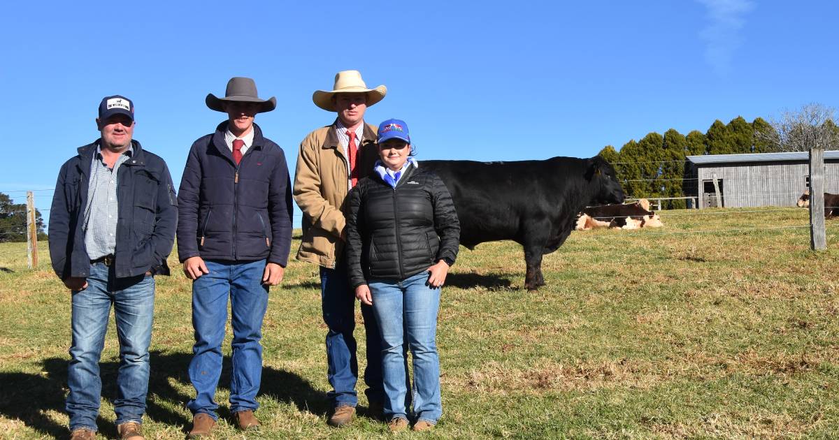 Tyler Angus tops at $14,000.