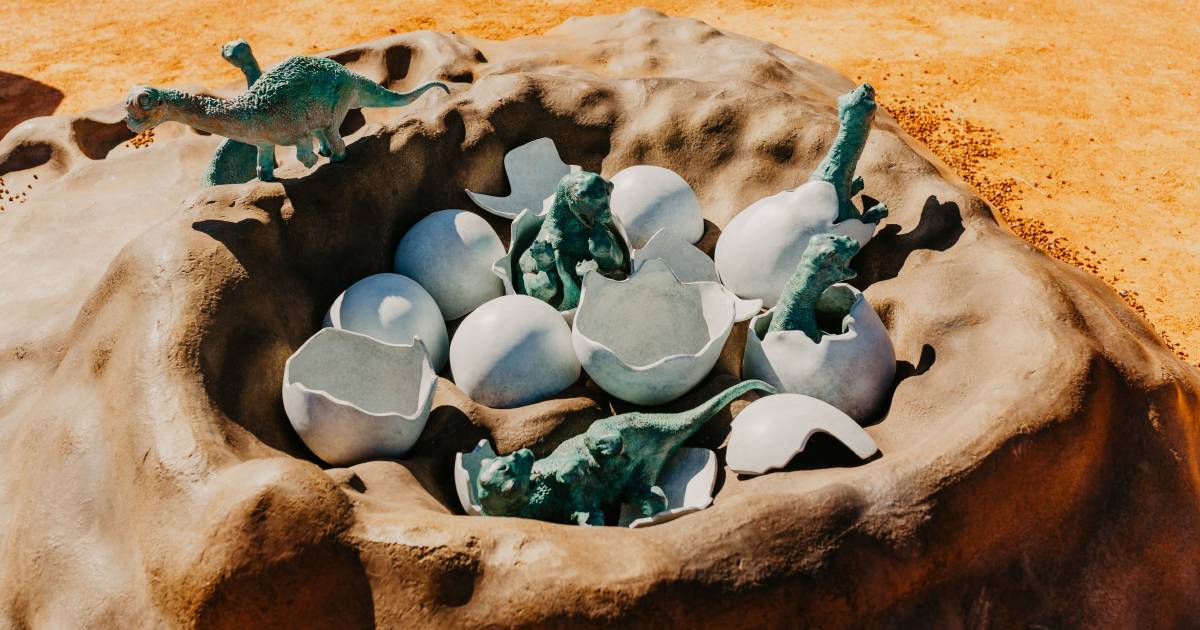 New bronze dinosaur nest on display at Eromanga museum | Queensland Country Life