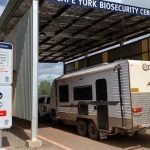 Dubbo National Poll Hereford Show and Sale gallery | The Land