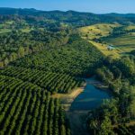 Flood-hit NSW lotfeeders earn Australian Farmers of the Year crown