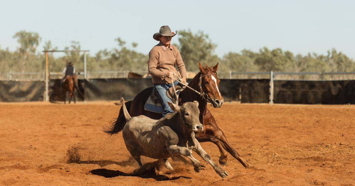 Yelvertoft Campdraft attracts huge nominations | North Queensland Register