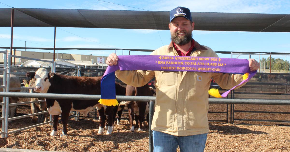 Herefords win in RNA Paddock to Palate weight gain phase