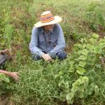 Frosty May conditions present challenges for graziers heading into Winter