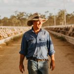 Young cattle dominate at Moreton