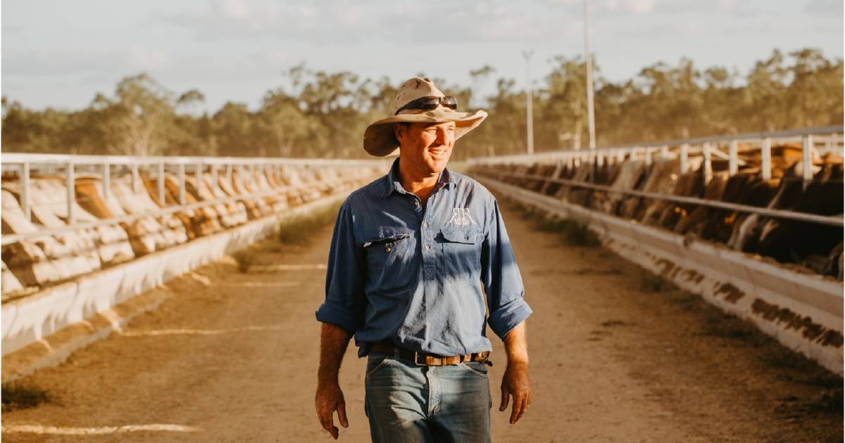 Live export depot pivots to feedlot