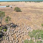 Weekly rainfall update + rainfall outlook 7 June 2023