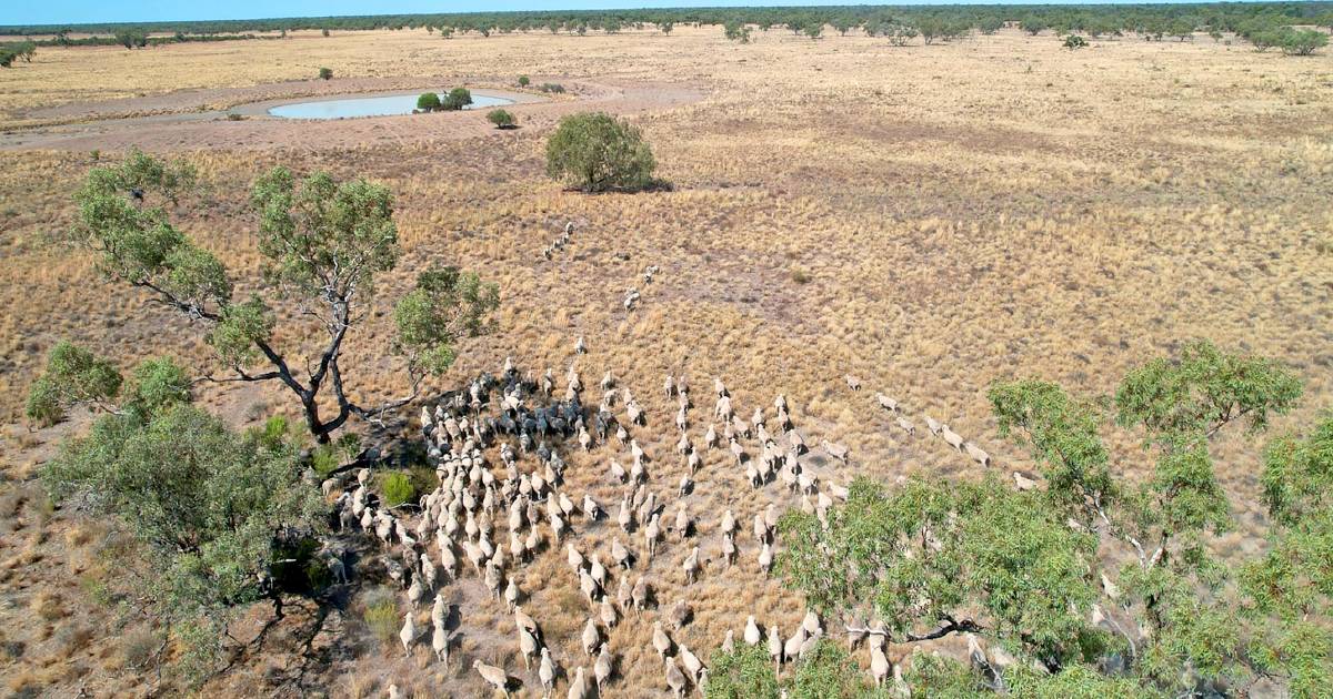 Western Downs grazing property offers large-scale at $5.9m