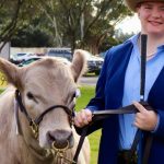 Lighter steers and heifers show some gains in 9874 head AuctionsPlus offering