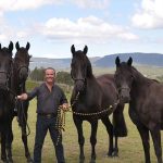 Transforming a Cow Paddock into a Piece of Heaven