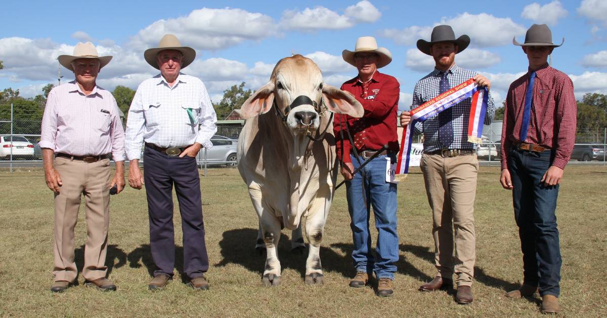 Brahmans beat the competition at Bundaberg show