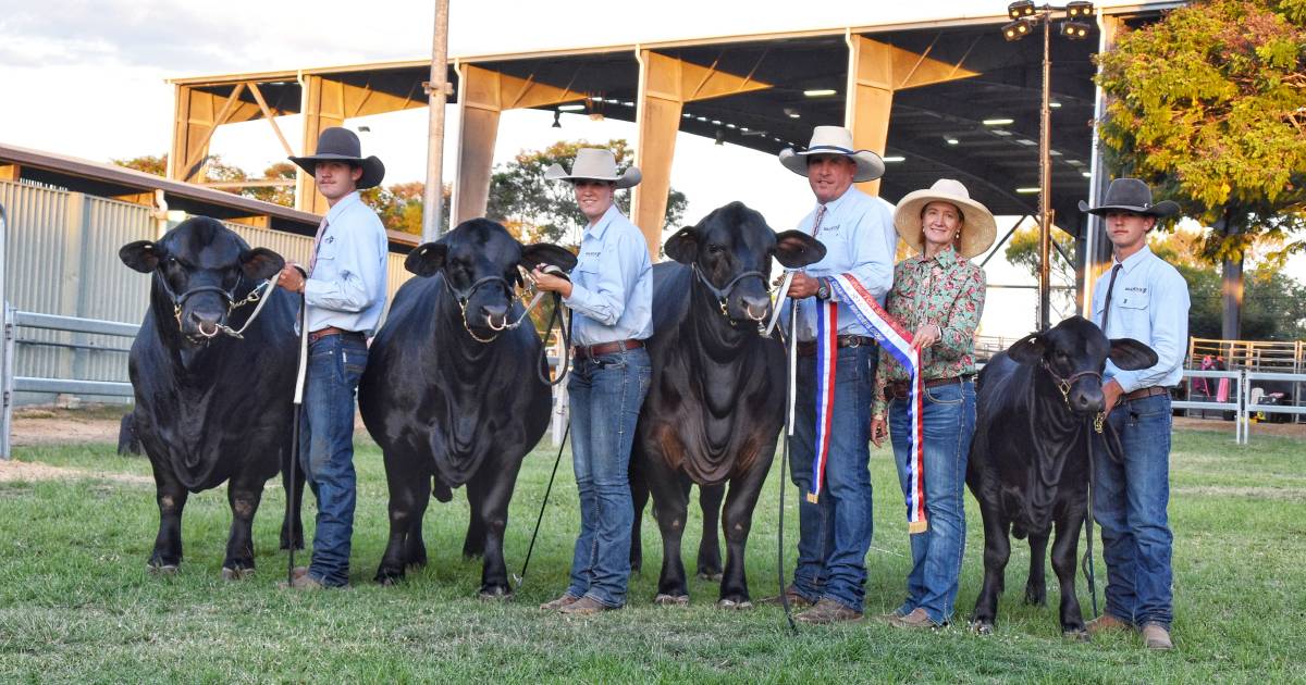 Brangus shine to the top of the 2023 Rockhampton Show interbreed stud judging competition | Results | Queensland Country Life