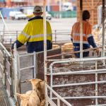 Rate rises are yet another hit to farmer’s bottom line | The Land