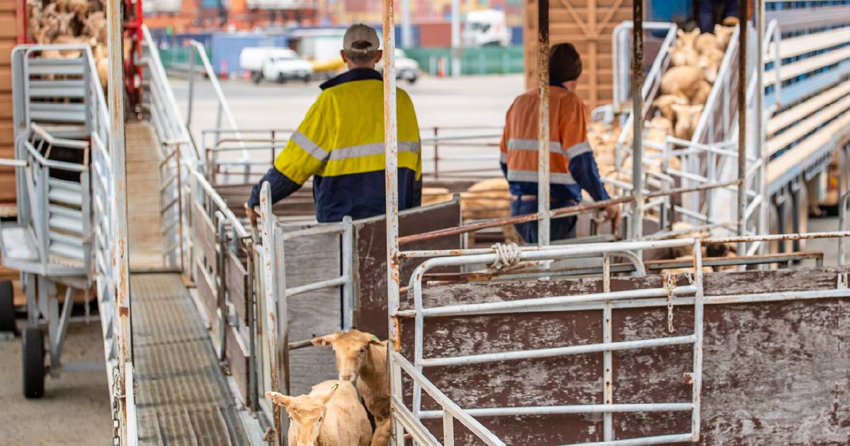 Industry response to live export contract