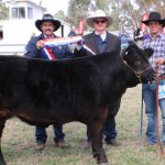 Weaner steers reach 400c at Biggenden