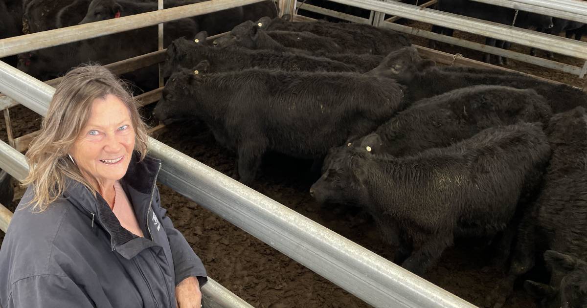 Dearer trend as steers sell to $1350 at Tamworth