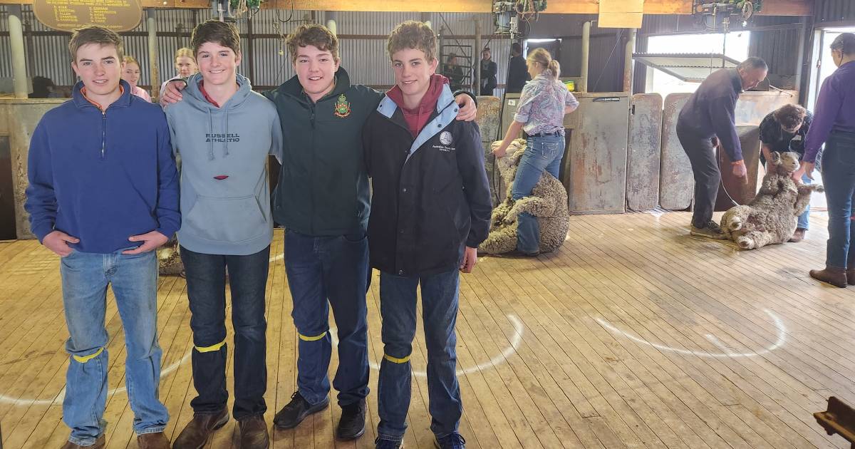 Students swapped the classroom for a shearing shed at the Wool Works Shearing School | The Land