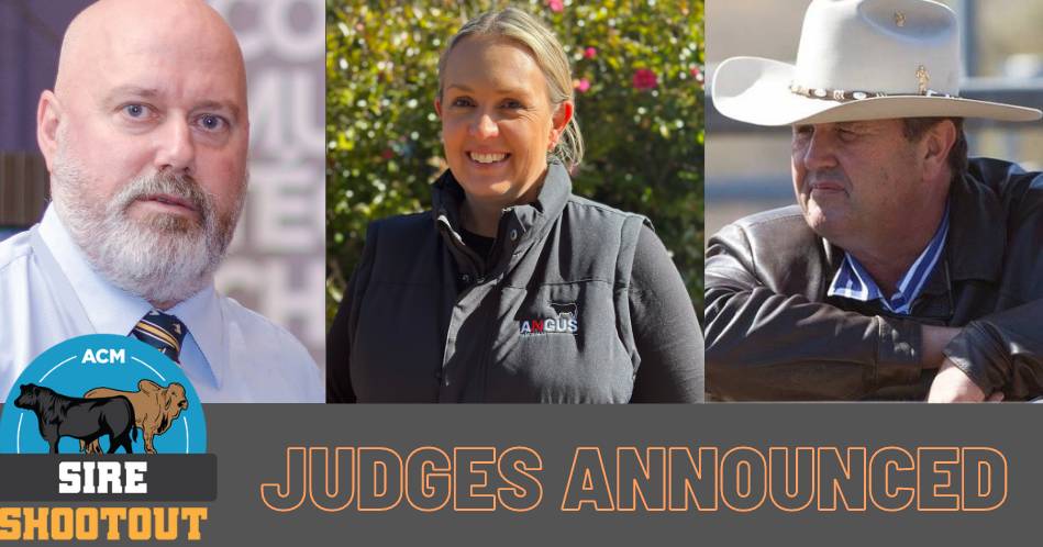 Esteemed judging panel revealed for 2023 Sire Shootout