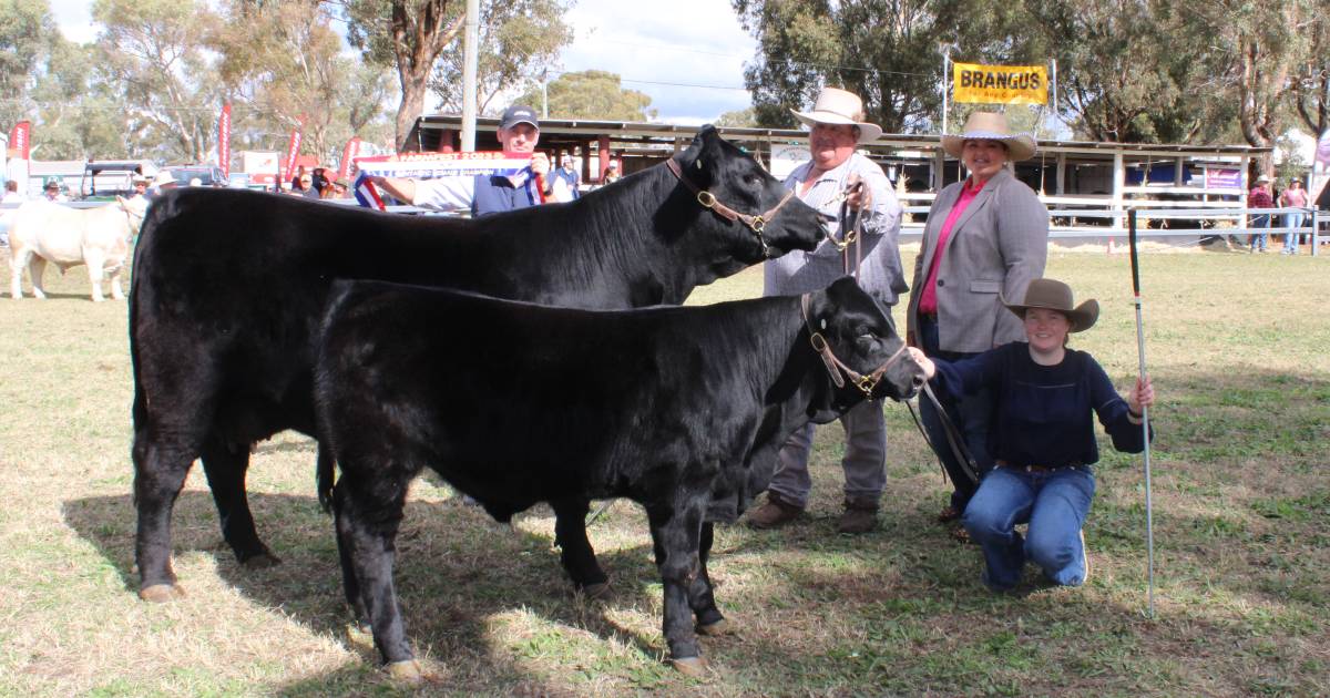 FarmFest supreme livestock exhibit claimed "Fantastic Female" award on the way to the top