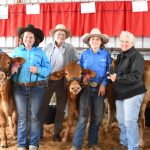 Angus cows sell for $1400 at Laidley | Queensland Country Life