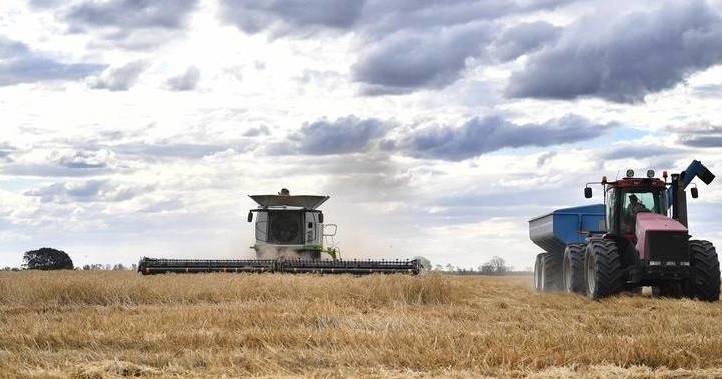 NSW Farmers welcomes new biosecurity commissioner Dr Marion Healy | The Land