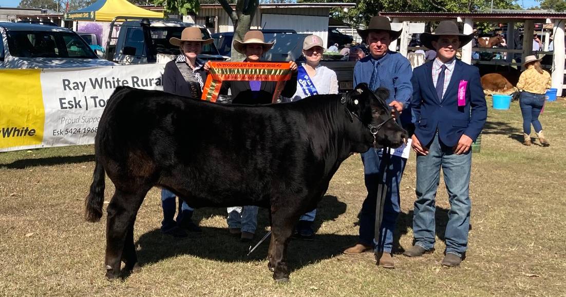 Toogoolawah Show led steer competition wows with solid numbers | Queensland Country Life