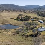 Reclaimer Rhodes grass pushes straight lucerne in Fassifern Valley as hay choice