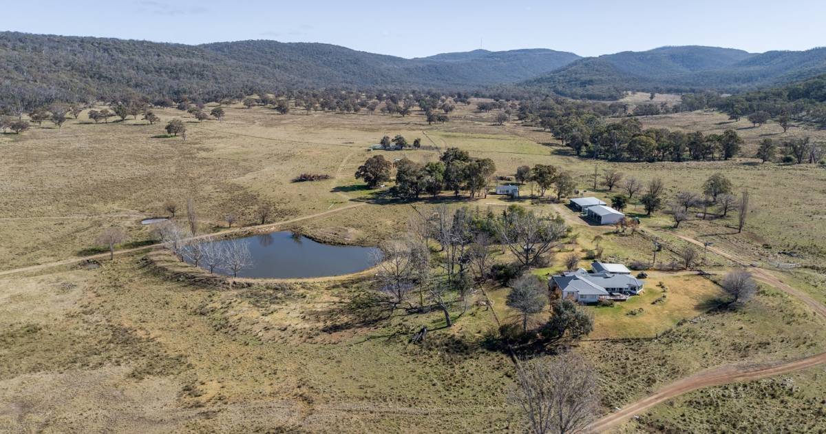 Productive cattle country for 500-plus cows makes $8.9 | Video