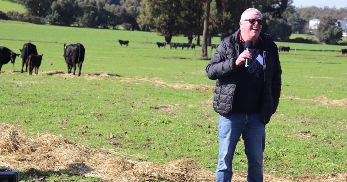 Top tips for optimising your silage