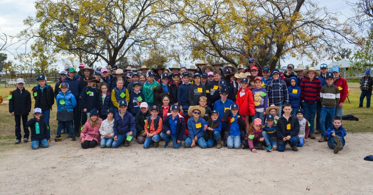 Success at Trangie Junior Judging Day