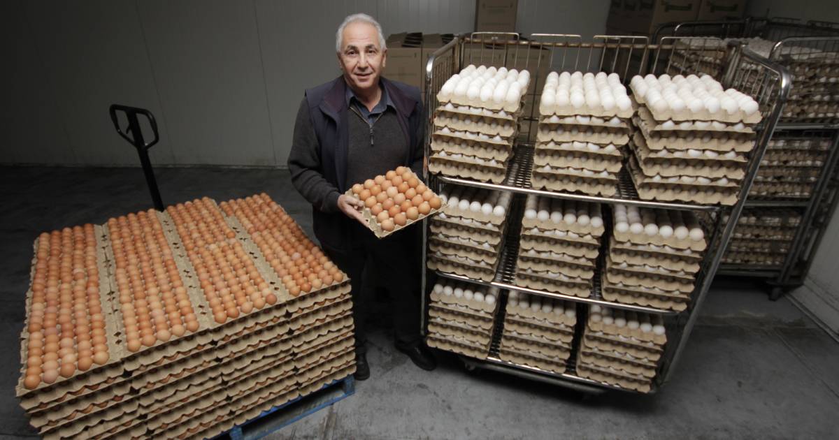 Egg farmers on Melbourne's fringe are bearing the brunt of bullying and death threats