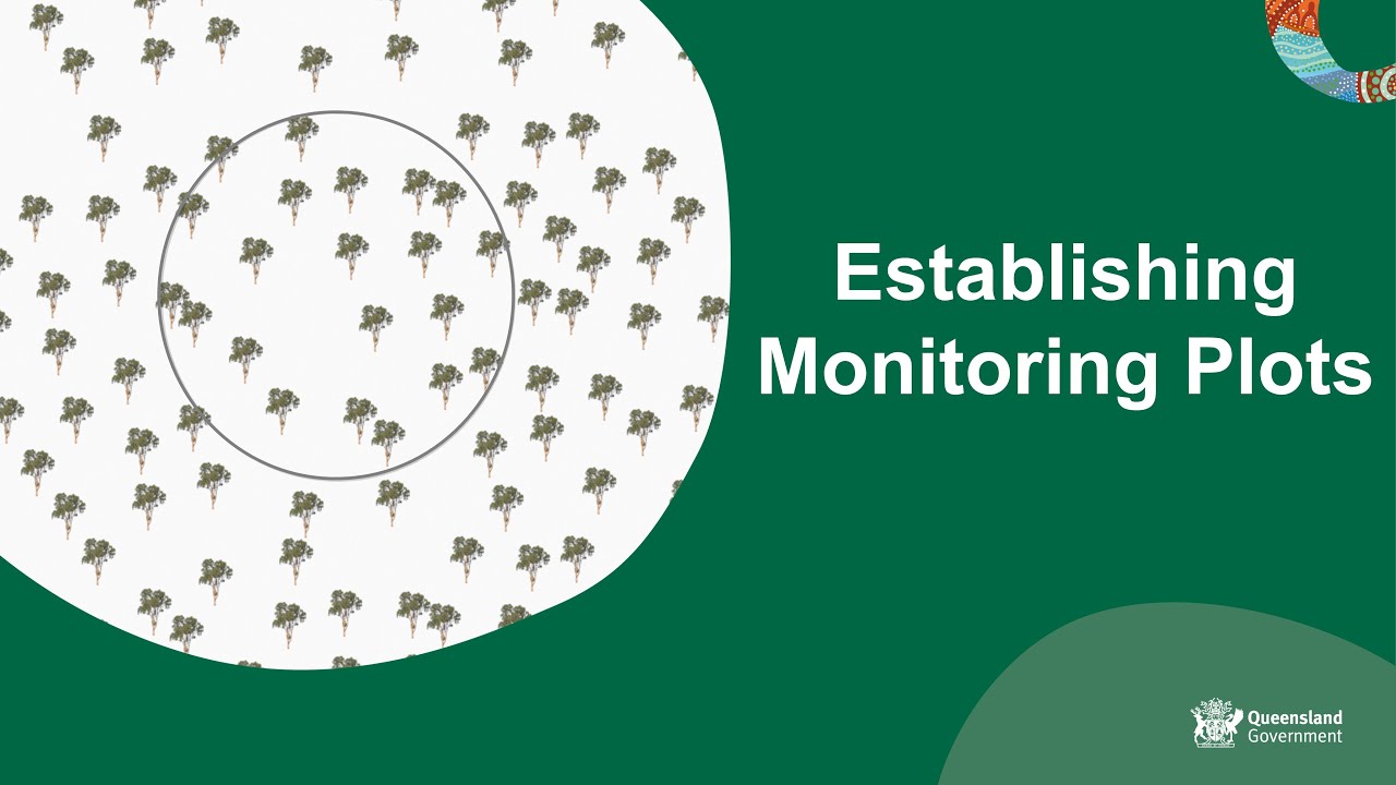 Establishing monitoring lots