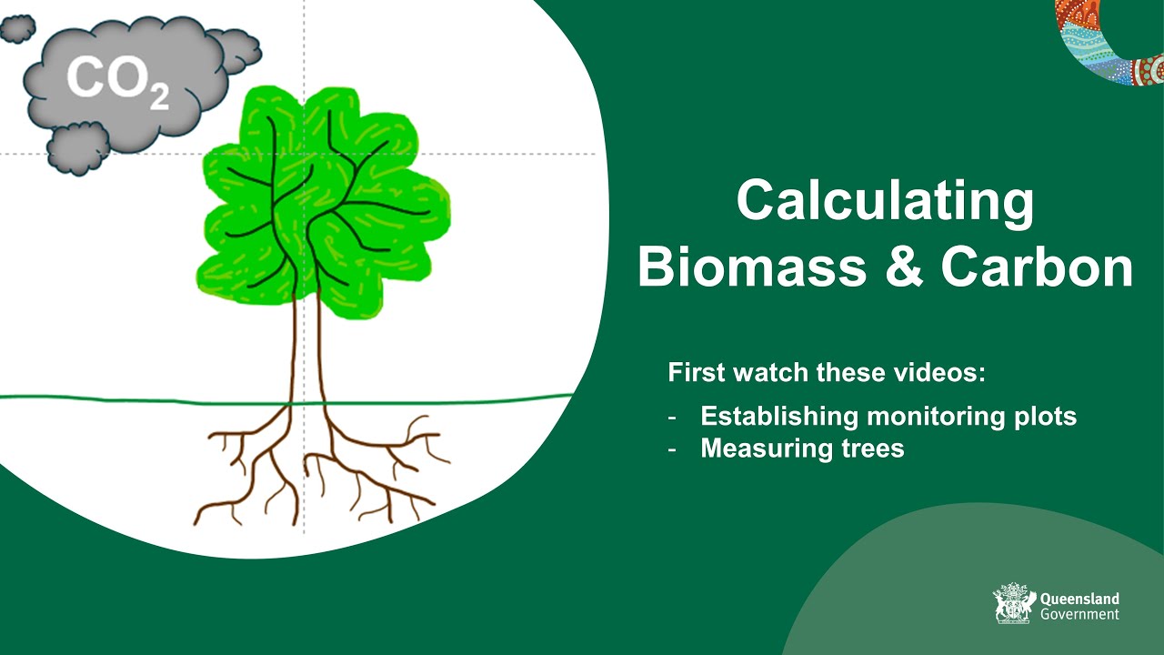 Calculating biomass and carbon