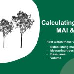 Assessing tree health