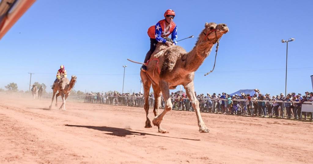 Suspense builds for 2023 'Melbourne Cup of camel races'