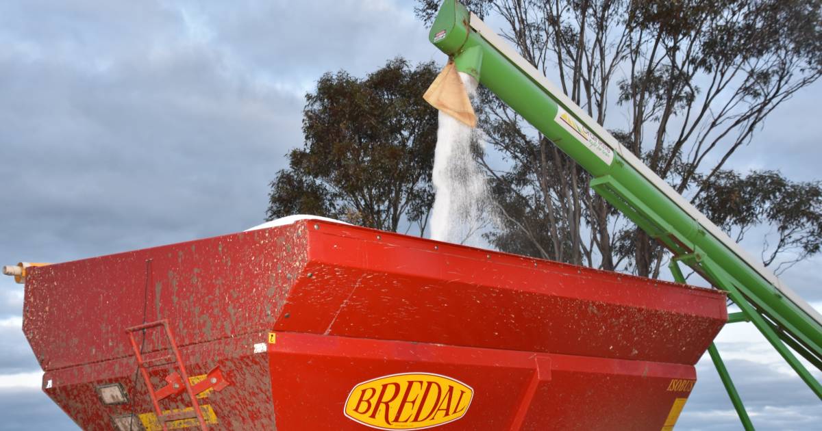 Urea shortage could cut yield potential | Farm Weekly