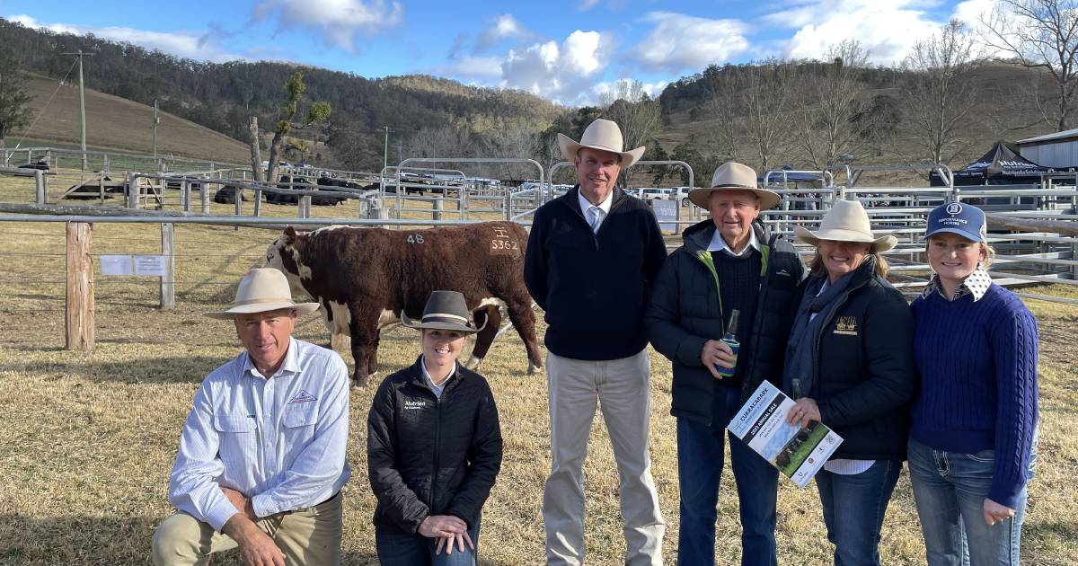 Angus average $17,460, topping at $26,000; Hereford average $9958. | The Land