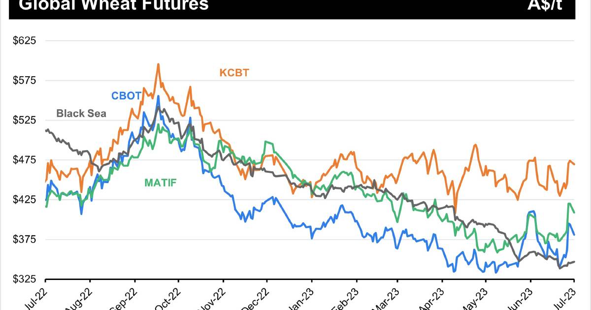 Wheat buyers outbidding each other