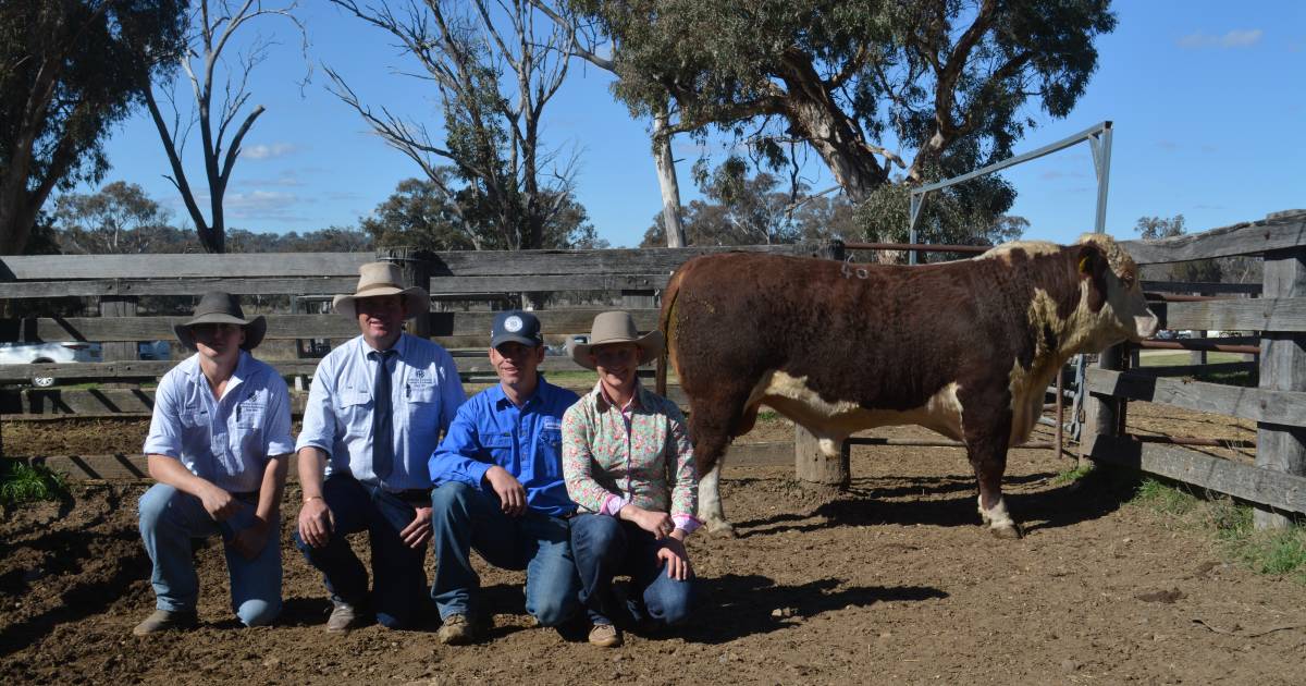 Glenwarrah Hereford top at $35,000 and Brooksby Angus to $16,000