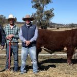 Pineapple industry converges in Yeppoon for 2023 field days