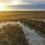 Two years on flood debris causes cane harvest damage but prices are at record high | The Land