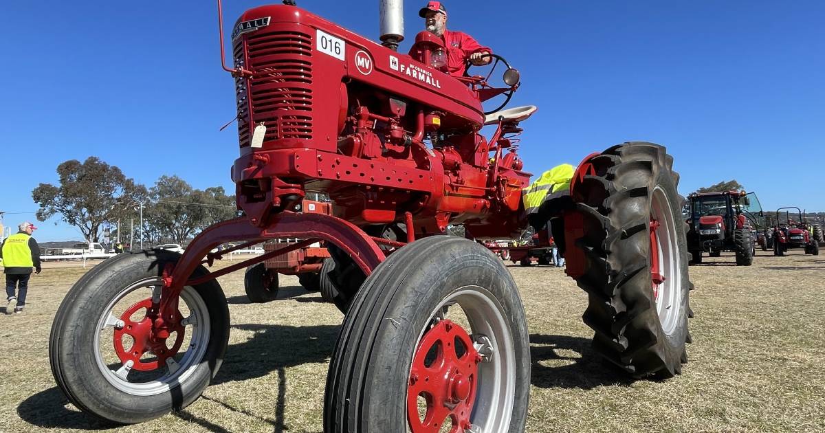 Inverell hosts 100 years of Farmall tractors much to the delight of thousands of spectators | The Land