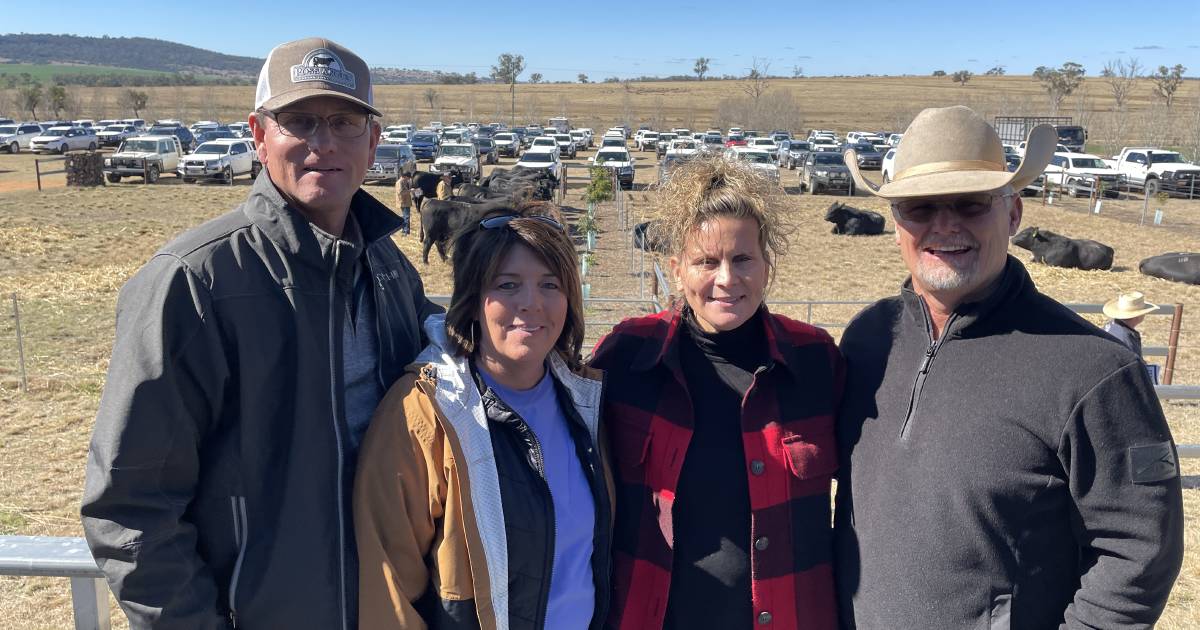 US tourists enjoy the highlights of Northern NSW bull sales