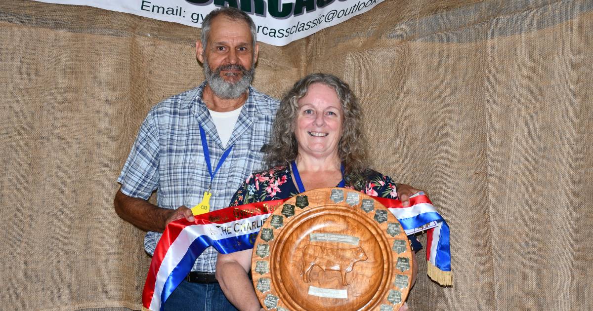 Bazadais cross, Limousin cross produce results for graziers at Gympie Carcase Classic