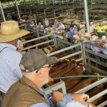 Jail for Prairie sisters guilty of defrauding drought relief scheme | Queensland Country Life