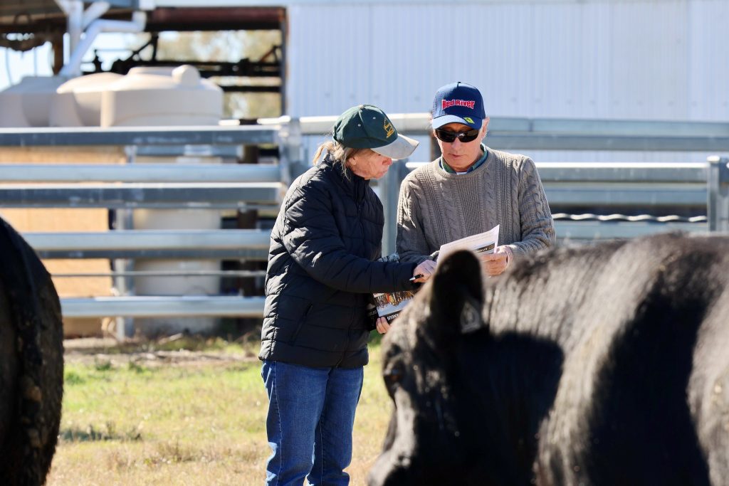 Weekly genetics review: Dealing with bull sale supplementary sheets