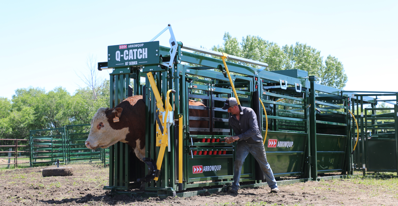 Your ultimate cattle chute buying guide